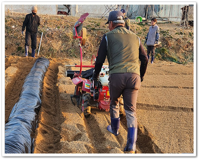 햇살영농 사진1