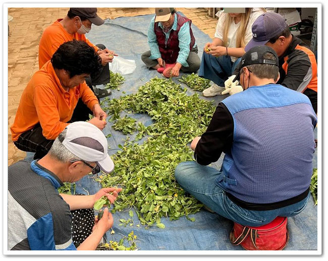 햇살영농 사진2